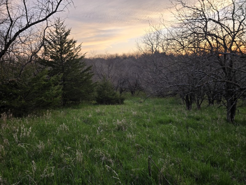 Listing photo 32